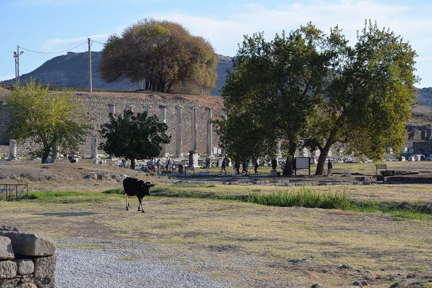 The Asklepieion of Pergamon – primary case study - deep-mapping sanctuaries